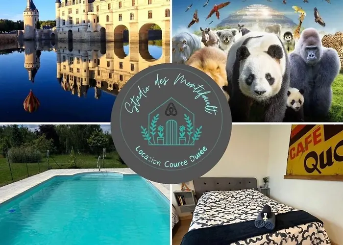 Studio Proche Beauval Et Chateaux De La Loire