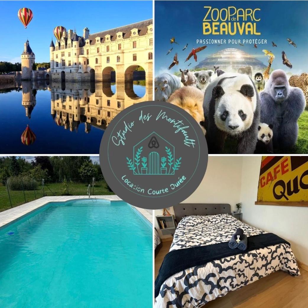 Proche Beauval Et Chateaux De La Loire Holiday home