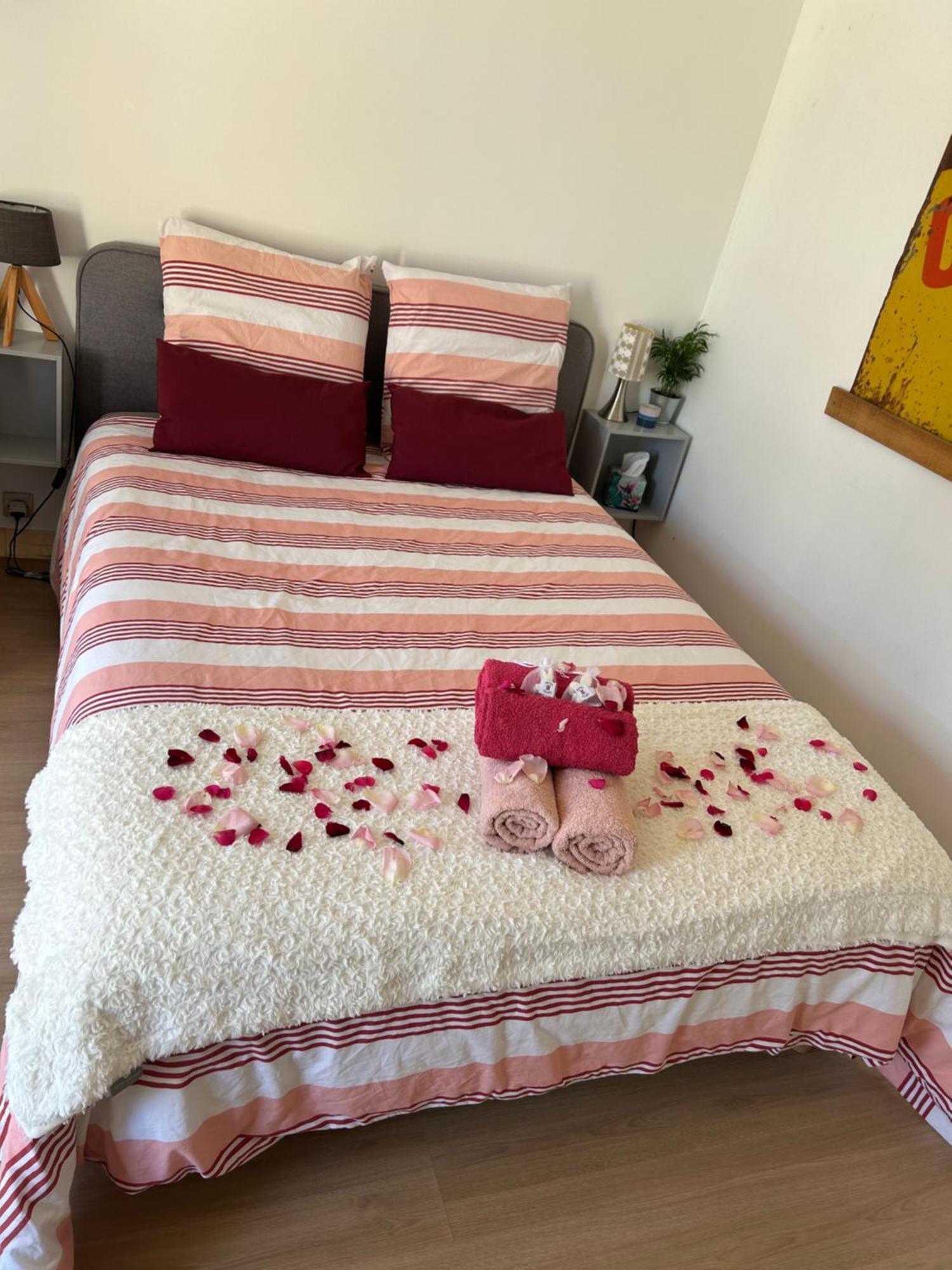 Holiday home Proche Beauval Et Chateaux De La Loire *